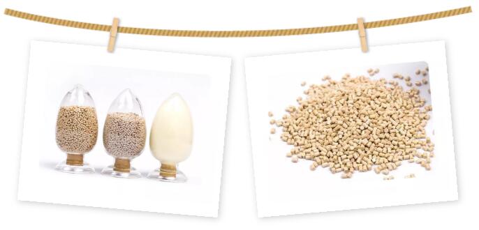 深耕PEEK应用开发  砥砺前行山东君昊开创江苏君华特塑新纪元