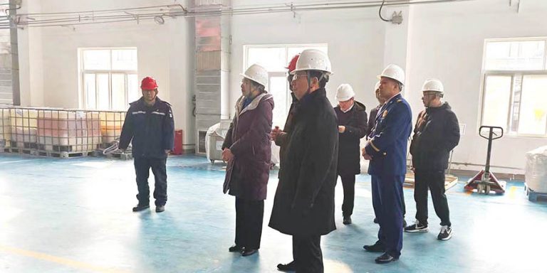 孙县长春节前视察公司安全生产